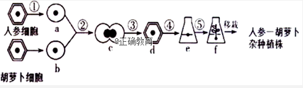 www.xiangpi.com