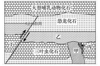 www.xiangpi.com