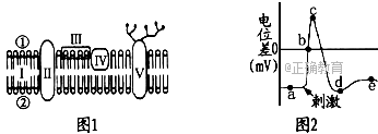 www.xiangpi.com