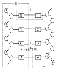 www.xiangpi.com