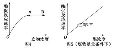 2.图3是与酶活性影响因素相关的曲