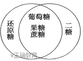 www.xiangpi.com