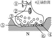 下图所示为突触的亚显微结构,m,n分别表示两个神经元的局部.