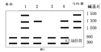 www.xiangpi.com