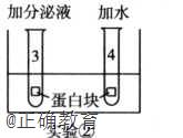 www.xiangpi.com