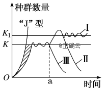 www.xiangpi.com