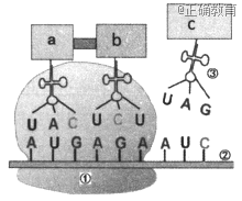 www.xiangpi.com