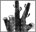 www.xiangpi.com