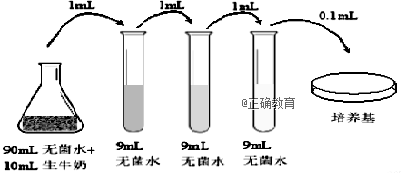 www.xiangpi.com