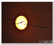 www.xiangpi.com