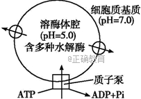www.xiangpi.com