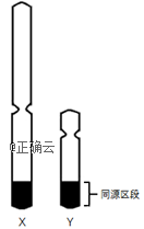 www.xiangpi.com