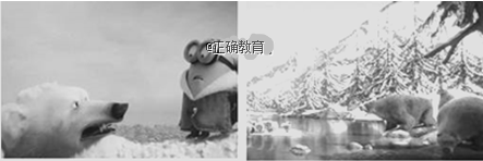 www.xiangpi.com