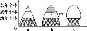 www.xiangpi.com