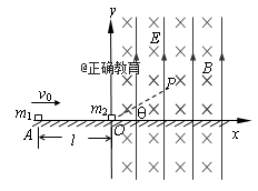 www.xiangpi.com