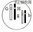 www.xiangpi.com