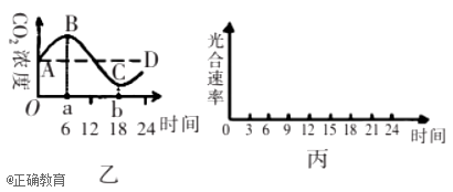 www.xiangpi.com