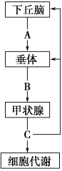 www.xiangpi.com