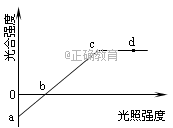 www.xiangpi.com