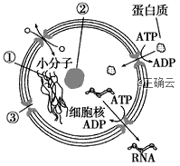 www.xiangpi.com