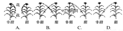 www.xiangpi.com