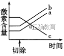 www.xiangpi.com