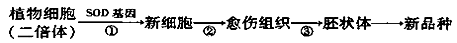 www.xiangpi.com