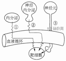 www.xiangpi.com