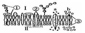 www.xiangpi.com