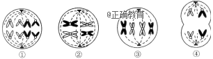 www.xiangpi.com