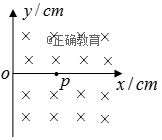www.xiangpi.com