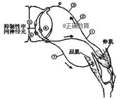 www.xiangpi.com