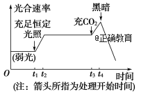 www.xiangpi.com