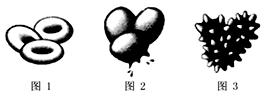 www.xiangpi.com