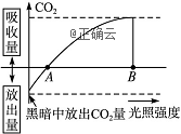 www.xiangpi.com