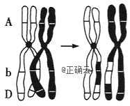 www.xiangpi.com