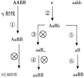 www.xiangpi.com