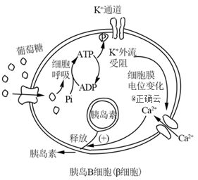 www.xiangpi.com