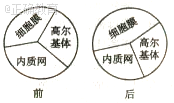 www.xiangpi.com