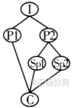 www.xiangpi.com