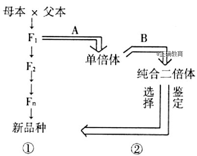www.xiangpi.com