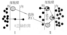 www.xiangpi.com