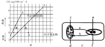 www.xiangpi.com