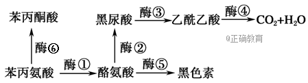 www.xiangpi.com