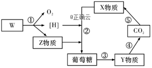 www.xiangpi.com