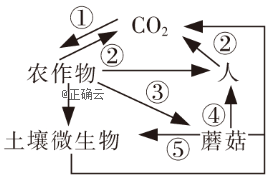 www.xiangpi.com