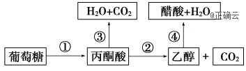 www.xiangpi.com