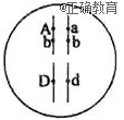www.xiangpi.com