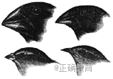 www.xiangpi.com