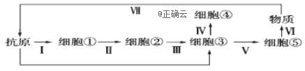www.xiangpi.com
